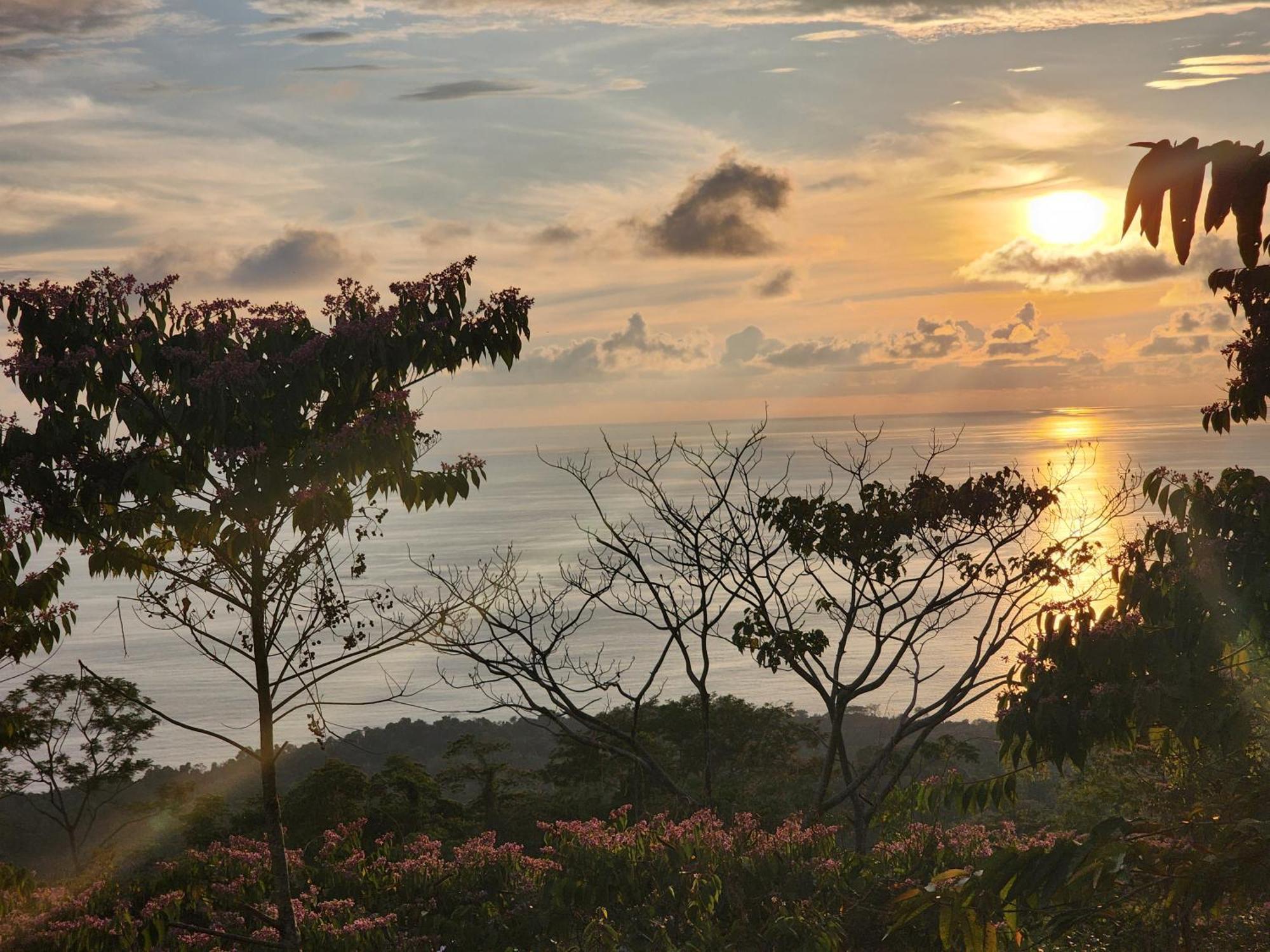 Canavida Villas & Resort อูวีตา ภายนอก รูปภาพ